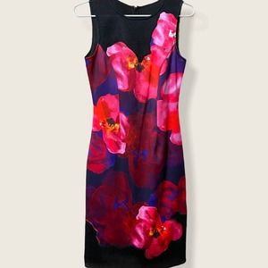 Badgley Mischka Belle Black Red Pink Floral Dress Size 2